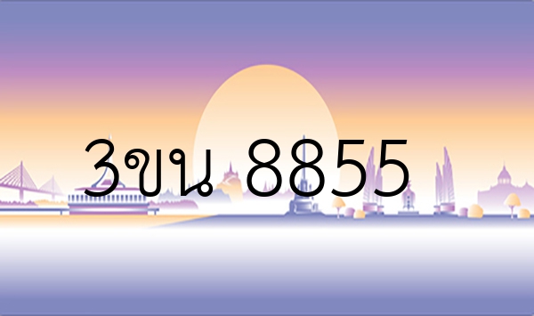 3ขน 8855